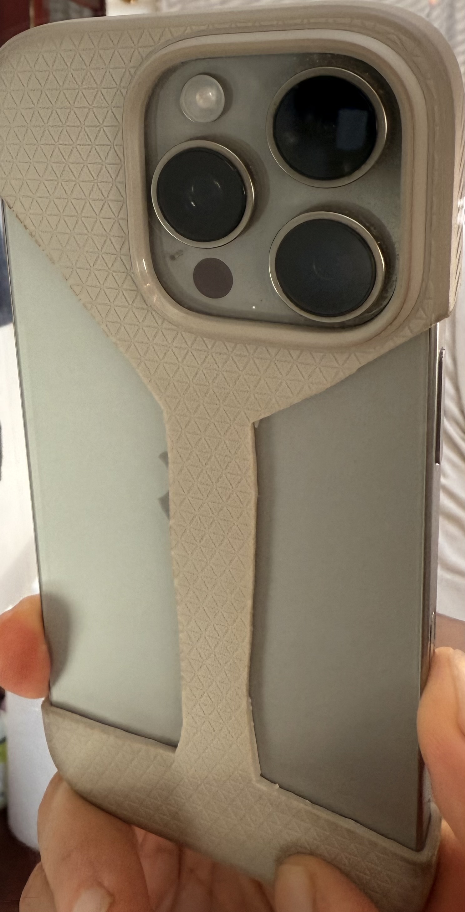 The Monokini Case