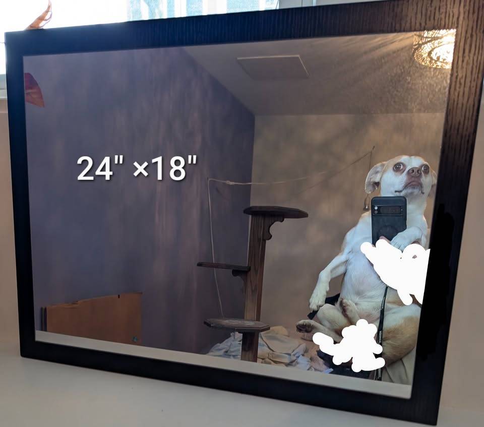 Dog Mirror